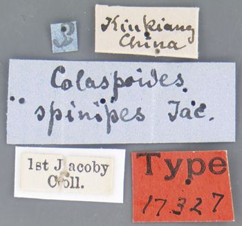 Media type: image; Entomology 17327   Aspect: labels
